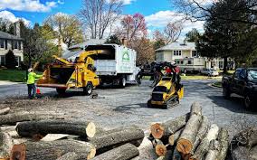 Best Leaf Removal  in Citrus, CA