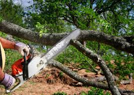 Soil Testing and Treatment in Citrus, CA